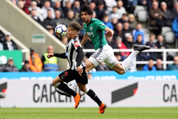 他们在青年 他们在青年