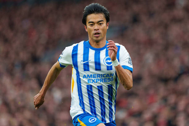 已经证明了 已经证明了