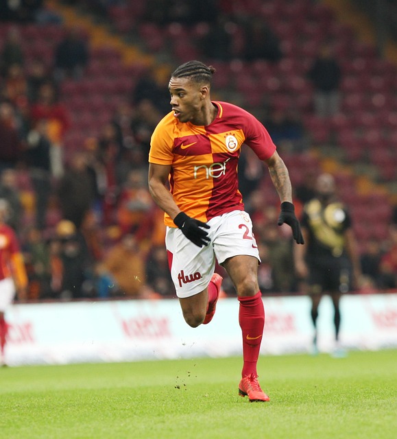 可以预见 可以预见