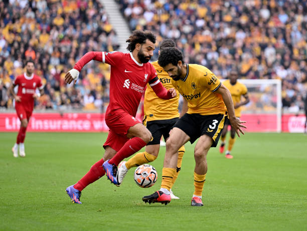 维奇的新希 维奇的新希