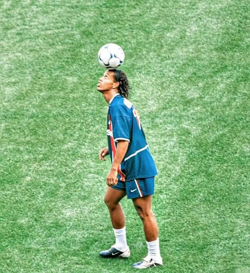 专家们的认 专家们的认